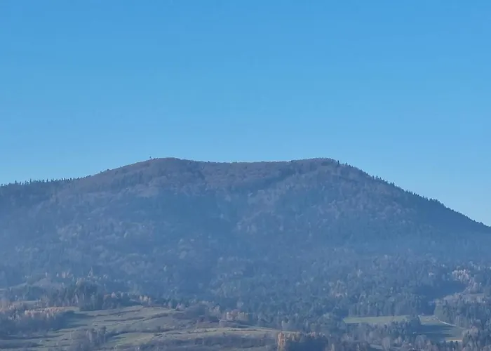 Miód Malina Olszowka (Nowy Targ)